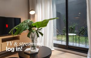 a plant in a vase on a table in front of a window at Milenia Soho by iPPA in Buenos Aires +69 photos