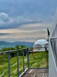 Příroda nedaleko luxury tent