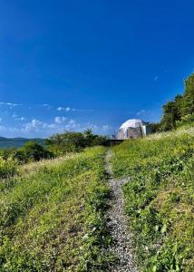 Příroda nedaleko luxury tent