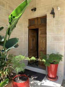 a building with a wooden door and two potted plants at Lo Componaïro in Pouzols +28 photos