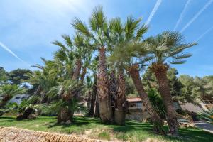 A garden outside Camping Estival Torre de la Mora