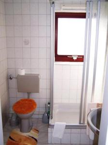 a bathroom with a toilet and a shower at Unterm-Reetdach-Whg-3 in Borkum