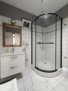 a bathroom with a shower and a sink at Letnia Oaza "Kalina" in Sobienie Jeziory
