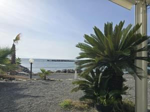 a palm tree sitting on a beach next to the ocean at Casa Diana in Sanremo