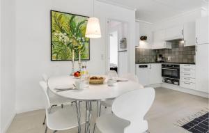 Η κουζίνα ή μικρή κουζίνα στο Holiday Home Haderslev 53