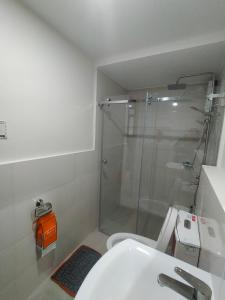 a bathroom with a shower and a sink at Northern Vacation Homes - Selendra in Baguio