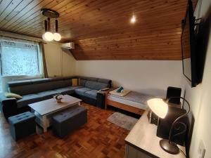 波希基斯卡贝拉Fantastic Apartment Brglez的客厅里有一张沙发和一张桌子。