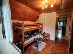 波希基斯卡贝拉Fantastic Apartment Brglez的客房设有两张双层床和跑步机。