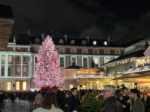 a crowd of people standing around a christmas tree at 2 Bed Ap Covent Garden in London