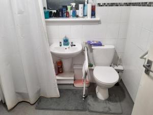 a bathroom with a toilet and a sink at Gadsby manor in Drumchapel +31 photos