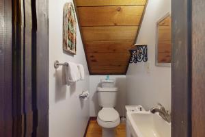 a bathroom with a toilet and a sink at Little Cub in Blue Ridge +18 photos