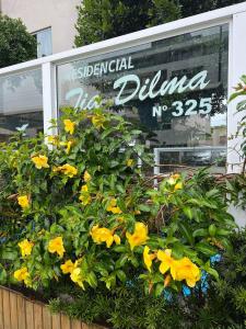 a display of yellow flowers in front of a store at Residencial Tia Dilma in Bombinhas