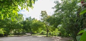 Casas Rurales Los Enebros Nerpio外面的花园