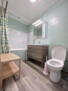un baño con inodoro y lavabo en Appartement cosy à Bagnères-de-Bigorre, 34 m² avec balcon, en La Mongie
