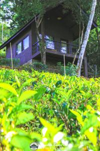 a house with a porch and bushes in front of it at Knuckles breeze villas in Huluganga