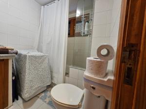 Koupelna v ubytování Residencial Sol Suite 2