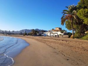 einen Strand mit einer Palme und einem Haus in der Unterkunft Casa Soleme San Juan de Los terreros in San Juan de los Terreros