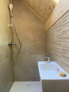 a bathroom with a shower and a sink at Sweet Bee Cottage in Bovec +20 photos