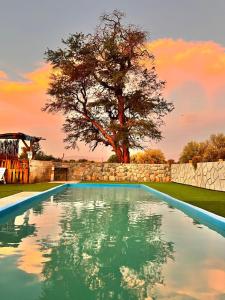 a swimming pool with a tree and a stone wall at Lodge Las Rocas in San Pedro de Atacama