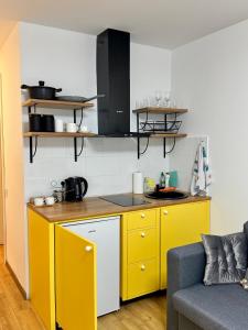 Kuchyň nebo kuchyňský kout v ubytování New Gudauri Loft 2 #226