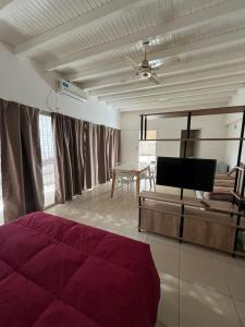 TV/trung tâm giải trí tại Departamento Céntrico Mendoza