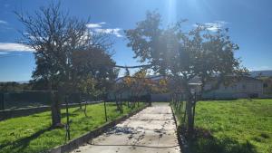 a path in a yard with trees in a field at “Casa abella “ in Monterrei