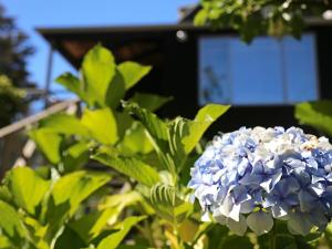 Zahrada ubytování Kaiteri House - Kaiteriteri Holiday Home