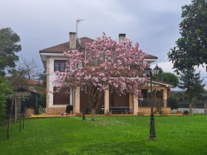 a house with a flowering tree in front of it at Casa Chalet, Villa Elisa in Gijón