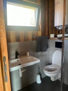 a bathroom with a toilet and a sink and a window at Chata Dorotka na sosne in Nová ľubovňa
