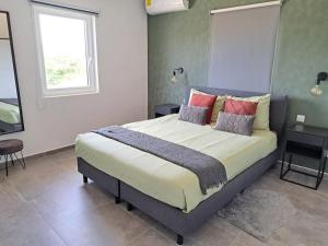 a bedroom with a large bed and two windows at Modern Appartement Noord Jan Thiel #2 in Willemstad