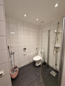 a bathroom with a shower and a toilet in it at Home Inn Rör11 in Stockholm