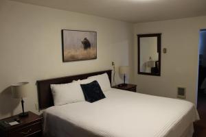 Postel nebo postele na pokoji v ubytování Sprague Motel