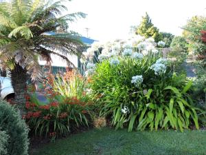a garden with flowering plants and a palm tree at Maple Lodge Motel in Matamata