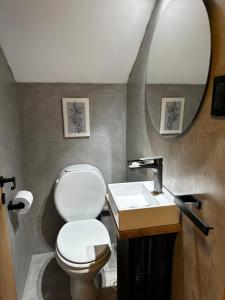 a bathroom with a toilet and a sink and a mirror at Rincón de Arístides in Mendoza +11 photos