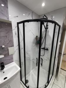 Koupelna v ubytování Lemon Apartment