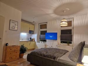 TV a/nebo společenská místnost v ubytování kleines Appartement - zentral, citynah, Stadion, Westfallenhalle