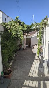 Fotografie z fotogalerie ubytování Casa Frasquita v destinaci Moclín