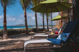 Foto sihtkohas Puerto Villamil asuva majutusasutuse Mi Playa Galapagos Beachfront Apartments galeriist