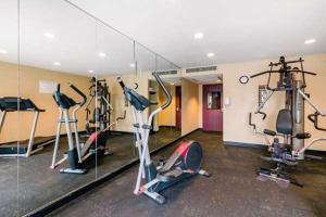 Fitness centrum a/nebo fitness zařízení v ubytování Precious Hotel