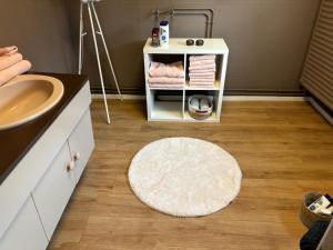 a bathroom with a sink and a rug on the floor at Station 64 A1 Bruxelles-Charleroi-airport in Charleroi