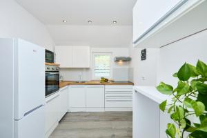 Kuchyň nebo kuchyňský kout v ubytování Apartment Summer Chill 2 + 11 fotografií