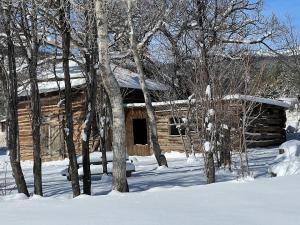 una cabaña de madera en la nieve junto a algunos árboles en Historic Mora Inn & RV Park, en Cleveland