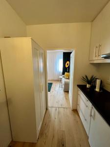 Kuchyň nebo kuchyňský kout v ubytování Museumsquartier Apartment + 2 fotografie