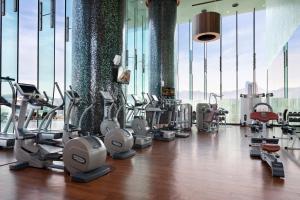 Fitnes centar i/ili fitnes sadržaji u objektu Hotel ICON