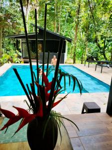 Bazén v ubytování Finca Ardilla Jungle Lodge nebo v jeho okolí