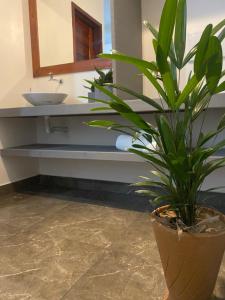 Un baño con un lavabo y una planta en maceta. en Casa Praiana Moitas, en Praia de Moitas