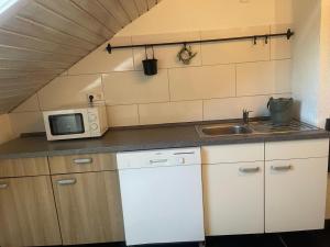 a kitchen with a sink and a microwave at Familiennest Blaustein-Ulm Hunde auf Anfrage in Blaustein