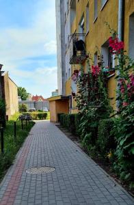 Vonkajšia záhrada v ubytovaní Apartament przy alei Kopernika