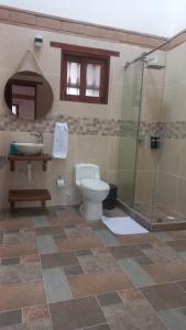a bathroom with a toilet and a shower and a sink at Hotel Santa Barbara Sachica in Villa de Leyva