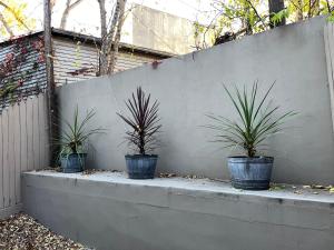 three potted plants sitting on a concrete wall at Luxury Boutique Home - 5 Beds 2 Baths 25 minutes to NYC in Jersey City